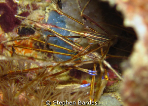 On the porch by Stephen Bardes 